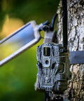 Durable Sol Pak Solar Battery Pack For Trail Cameras with 12V solar panel and trail camera mounted on tree, 10ft cable visible