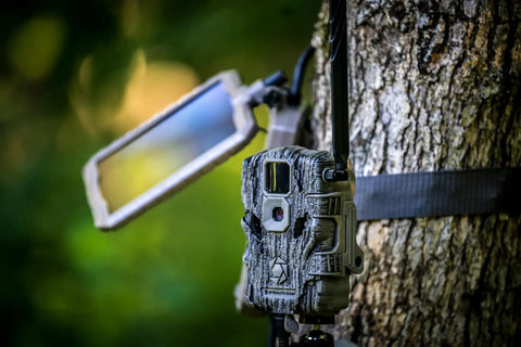 Durable Sol Pak Solar Battery Pack For Trail Cameras with 12V solar panel and trail camera mounted on tree, 10ft cable visible