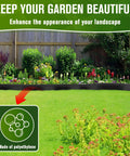 One And A Half Inch By Sixty Six Feet No Dig Landscape Edging Kit With Eighty Anchoring Spikes Flexible Garden Border Edging