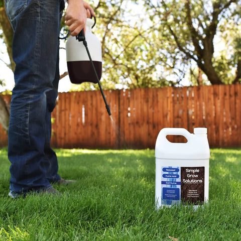 Liquid Sea Kelp And Humic Acid Blend For Grass And Plants That Boosts Your Lawn Game Seaweed Rich Soil Conditioner in use
