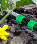 Front view of green plastic 5/8-inch drip irrigation coupling on black tubing installed in soil