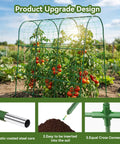 Arch Cucumber Trellis For Raised Beds, U Shape Metal Garden Trellis For Climbing Plants, Outdoor Plant Support Showcase
