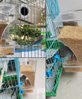 No Mess Acrylic Bird Feeder With Built In Perch And Secure Lid For Parakeets Finches Lovebirds And Canaries showing seed dispensing and clear tray.