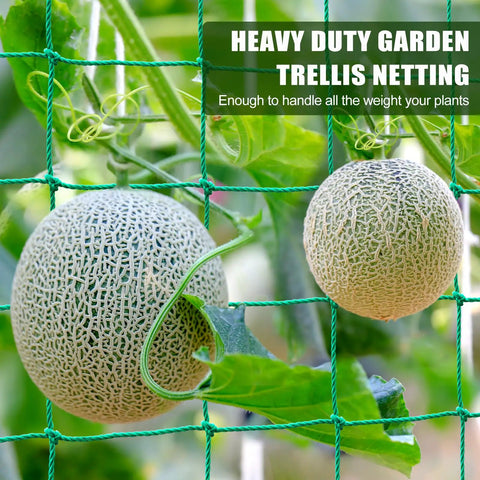 Beefed Up Heavy Duty Garden Trellis Netting For Climbing Plants Outdoor Support 9.85 By 6.6 Feet With 27 Strands And 4 By 4 Inch Mesh