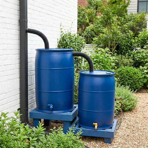 Blue rain barrels with hose connector kit and downspout diverter links rainwater overflow and stores more water in garden