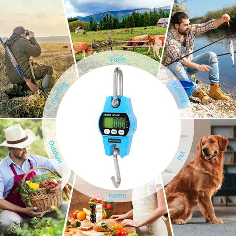 Heavy Duty Digital Crane Scale 660 Lb Handheld Hanging Weight Scale With Crisp Backlit Lcd Display Slick Grip Handle Hella Accurate Readouts For Farm Rig And Job Site Grind