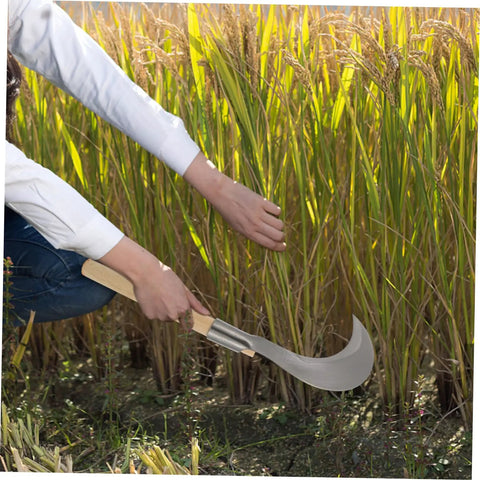Person using Long Handle Manganese Steel Grass Sickle For Weeding And Harvesting All Purpose Garden Tool With Wooden Anti Slip Handle
