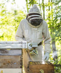 Beekeeper using Beekeeping Bee Smoker Stainless Steel With Heat Shield 11 Inch Mounting Hook Includes 54 Plant Based Smoker Pellets