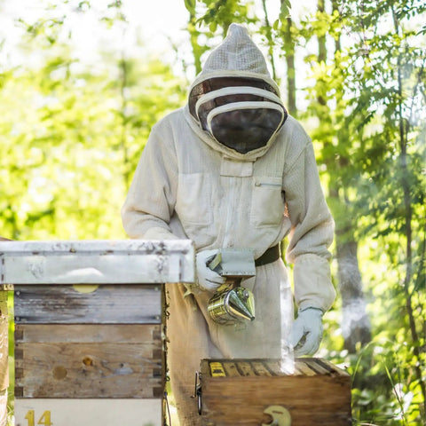 Beekeeper using Beekeeping Bee Smoker Stainless Steel With Heat Shield 11 Inch Mounting Hook Includes 54 Plant Based Smoker Pellets