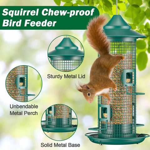 Squirrel Chew Proof Metal Mesh Bird Feeder For Outdoors All Weather Rust Proof 2 Lb Large Capacity with perched squirrel