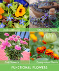 Collage of edible blooms, medicinal plants, cut flowers, and companion plants from 36 Pack Flower Seeds Garden Kit With Heirloom Non GMO Seed Starter Pack Varieties For Planting Annual And Perennial Flowers Including Wildflowers For Pollinators Bees And Butterflies For Spring To Fall Blooms And Cut Flower Borders.