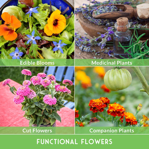 Collage of edible blooms, medicinal plants, cut flowers, and companion plants from 36 Pack Flower Seeds Garden Kit With Heirloom Non GMO Seed Starter Pack Varieties For Planting Annual And Perennial Flowers Including Wildflowers For Pollinators Bees And Butterflies For Spring To Fall Blooms And Cut Flower Borders.