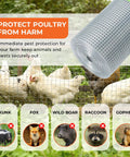 One Quarter Inch Welded Hardware Cloth Twenty Four By Fifty Foot Coil For Chicken Coop and Small Animal Pen With Hot Dipped Galvanized Finish to Lock Down Critters and Make Fence Work a Breeze with chickens behind fence