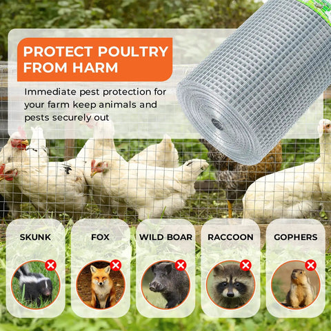 One Quarter Inch Welded Hardware Cloth Twenty Four By Fifty Foot Coil For Chicken Coop and Small Animal Pen With Hot Dipped Galvanized Finish to Lock Down Critters and Make Fence Work a Breeze with chickens behind fence