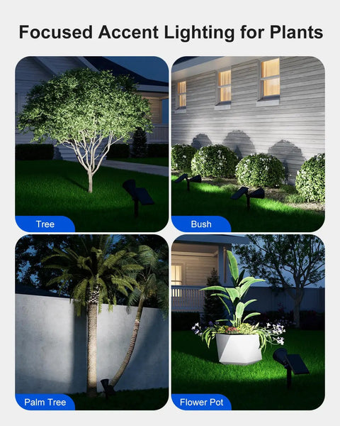 Solar Outdoor Waterproof Spotlight Set For Flag Poles Palm Trees Signs Statues And Mailboxes with bright LED lights highlighting tree and plant in garden