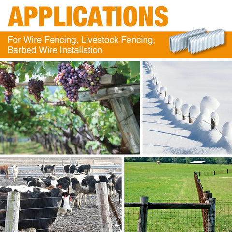 Heavy-Duty 10.5-Gauge Glue Collated Fencing Staples Seven Eighths Inch Galvanized Steel 1,500 Count Built To Last Workhorse