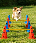 Small dog jumping over yellow hurdles in All In One Dog Agility Jump Set For Backyard Training with cones and poles.