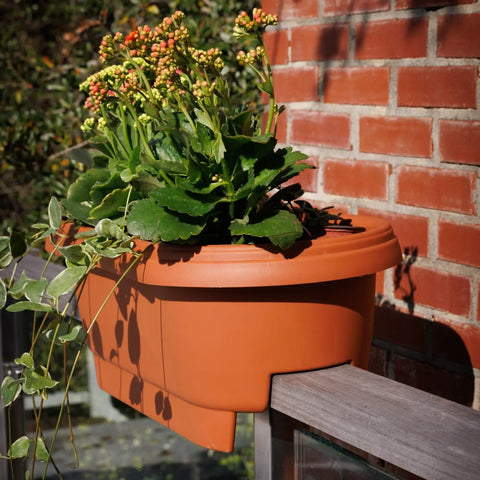Terra Cotta 24 Inch Rail Planter For Deck And Balcony With 4 Gallon Capacity Fits Rails Three And One Quarter To Three And Three Quarter Inches Wide UV Protected Resin Weather Resistant No Tool Needed Easy Cleaning Made In USA installed on railing with plants