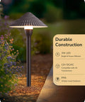 5CCT Low Voltage Pathway Lights 12V 3W 160LM Aluminum Waterproof Outdoor Landscape Lights with purple flowers