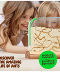 Children observing Ant Farm Kit For Kids And Curious Learners Complete Colony Setup With Sand Habitat And Living Ants Voucher Included