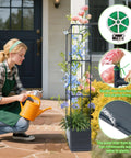 Woman using Two Pack Raised Garden Bed Tomato Planter Box With Trellis 43.4 Inch Self Watering Cage for climbing plants outdoors.
