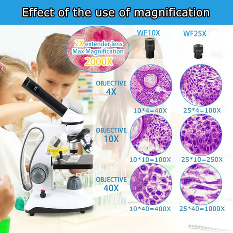 Effect of magnification with 40X To 2000X Microscope For Kids And Adults, Kid Friendly Setup With 30 Prepared Slides, Phone Adapter
