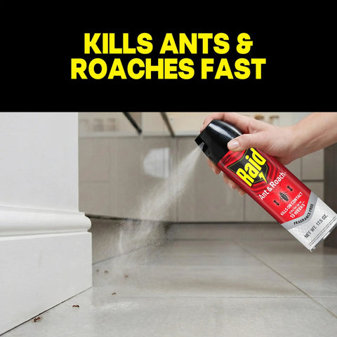 Person using Raid spray on floor, text 'Kills Ants & Roaches Fast' visible