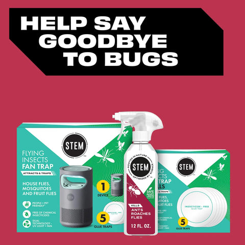 Nuke Your Dang Yard Bugs With This Plant Based Bug Spray That Squashes Ants Roaches And Flies Fast Dog Friendly Home Defense Formula Botanical Blend Entomologist Tested 12 Oz Bottle with insect trap and glue trays