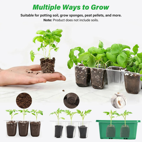 5 Pack Seed Starter Trays Kit With Clear Humidity Dome And Base Indoor Greenhouse Propagator showing seedlings growing in trays