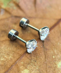 Premium D Color Moissanite Stud Earrings Crafted From Certified G23 Implant Grade Titanium Screw Back on leaf background.