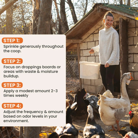Woman with bucket applying All Natural Chicken Coop Odor Eliminator And Moisture Absorber For Coops And Runs Ammonia Neutralizer