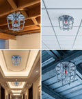 Straight Up Protection For Your 3/4 Fire Sprinkler Head This Bully Proof Cage Guard installed in various ceiling types.