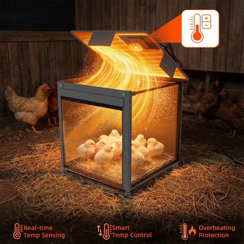 All-In-One Chick Brooder Box With Adjustable Temperature 77 To 95 F in use, showing chicks inside on straw, glowing heat from panel