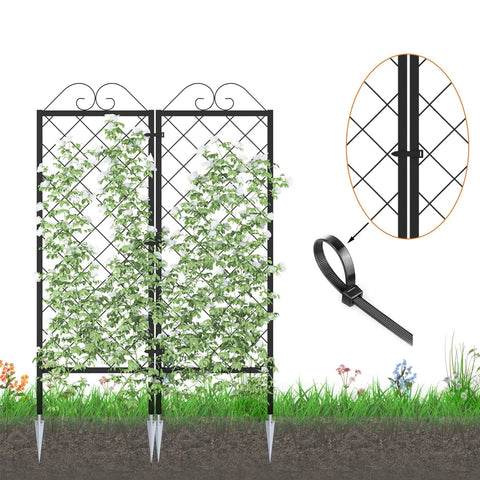 Two Pack Metal Garden Trellises For Climbing Plants 53.5 Inch Tall Plant Support Fence Trellis For Flowers And Vegetables Powder Coated Rustproof And Weather Resistant Includes Aluminum Ground Stakes with climbing plants