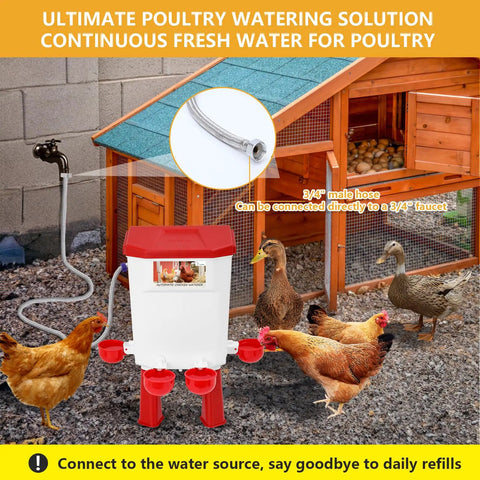 Automatic Chicken Waterer With Float Valve Hanging Or Standing Design Connects To Three Quarter Inch Faucet And Hose Spill Proof Hydration Solution For Backyard Coop And Small Farm Easy To Use Red Waterer with chickens in use