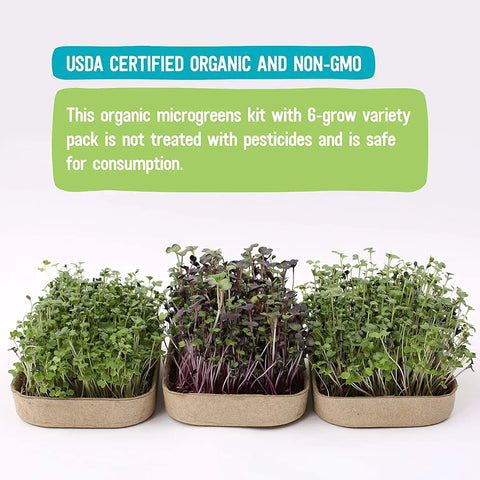 DIY Microgreen Grow Kit Six Grow Variety Pack For Organic Non GMO Pesticide Free Home Kitchen Garden Easy Setup viewed
