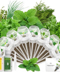 Eight Pod Gourmet Herb Seed Kit For Hydroponics With Basil Parsley Thyme Mint Cilantro Dill Oregano And Chives Seed Pod Set
