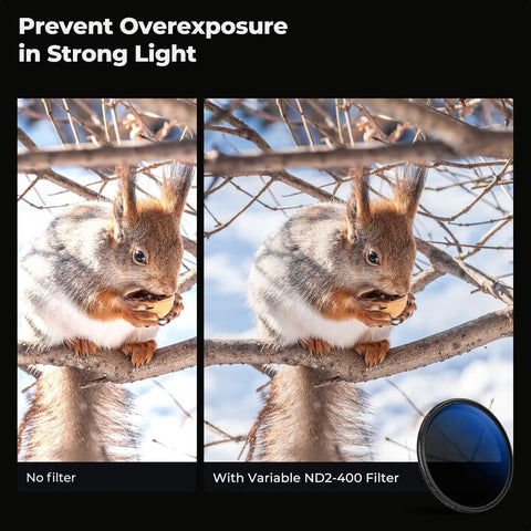 Comparison of a squirrel with and without Ultra Slim 67mm Variable ND Filter With 1 To 9 Stops ND2 To ND400, 18 Layer Coatings.