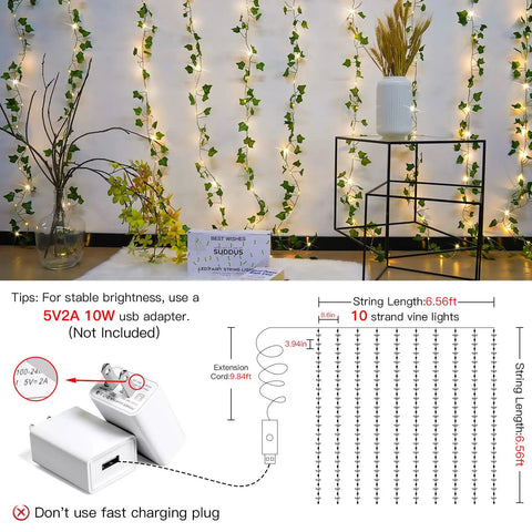 Ivy Vines Curtain Lights With 200 LEDs For Bedroom Dorm Wall Indoor Outdoor 6.5ft By 6.5ft With Remote and setup diagram