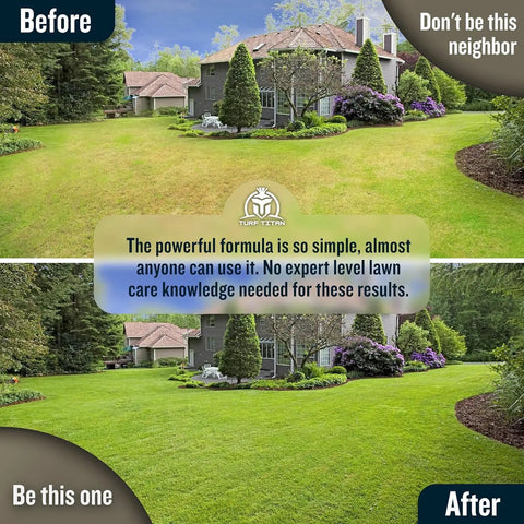 Before and after lawn with Liquid Lawn Aerator And Dethatcher With Hose End Sprayer For Clay And Compacted Soil showing improved grass