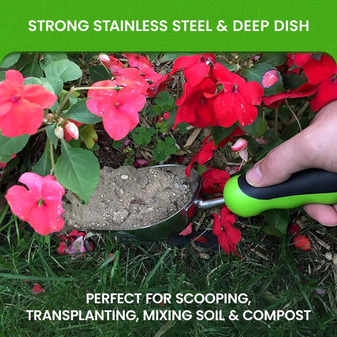 Stainless Steel Garden Scoop Trowel Transplanter With Ergonomic Grip digging soil next to red flowers.