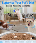 Smart Automatic Cat And Dog Feeder With 2K Camera And Night Vision, 5G Wifi App Control, 7L Large Capacity Bowl, Programmable Meal Timer, Detachable Tray For Sure Fire Tracking And No Sweat Cleanup On Road Trips with playful cats and dog in a home setting.