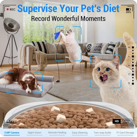 Smart Automatic Cat And Dog Feeder With 2K Camera And Night Vision, 5G Wifi App Control, 7L Large Capacity Bowl, Programmable Meal Timer, Detachable Tray For Sure Fire Tracking And No Sweat Cleanup On Road Trips with playful cats and dog in a home setting.