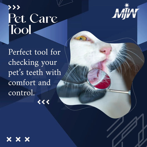 Dope Multi Use Dental Mirror 6.5 Inch Stainless Steel With Non Slip Handle For Teeth Care Lash Extensions And Pet Inspections Rust Resistant Easy Reach Grooming Tool For Home And Pros on cat teeth