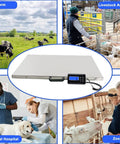 Heavy Duty Workhorse Electronic Platform Scale Built Tough For Livestock Shipping Large Breed Dog Weighing Multi Purpose Commercial Stainless Steel Floor Ready Station with digital display