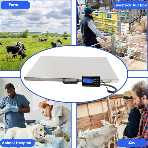 Heavy Duty Workhorse Electronic Platform Scale Built Tough For Livestock Shipping Large Breed Dog Weighing Multi Purpose Commercial Stainless Steel Floor Ready Station with digital display