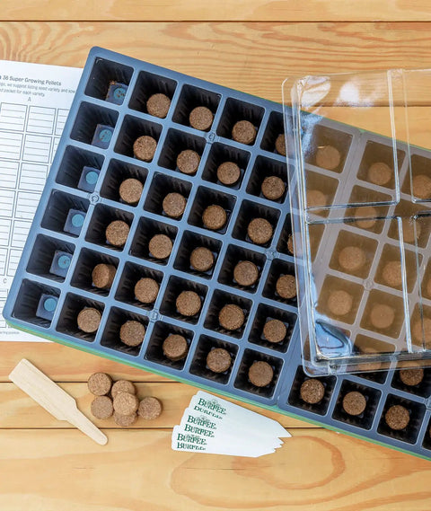 Indoor Seed Starting Kit With Dome Greenhouse For Herbs, Veggies And Flowers shown with tray, coir pellets, and lid on wood surface