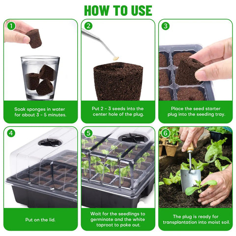 Step-by-step guide for using 40 Seed Starter Plugs With Tray Set For Quick Germination And Easy Planting, Baltic Peat Moss Grow Sponges