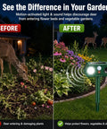 Two Gear Solar Ultrasonic Animal Deterrent With Motion Sensor Strobe Flash Yard Garden Deer Cat Rabbit Repeller For Plants And Vegetables Habituation Proof 2026 Upgrade in garden before-after deer repellent