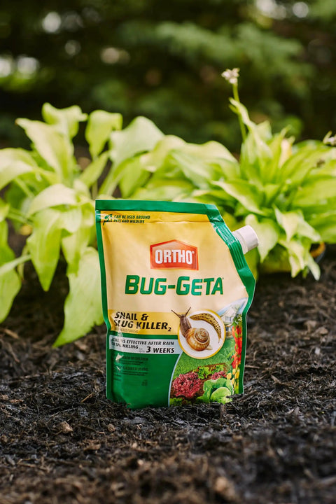 Bug Geta Snail And Slug Killer 2 slug bait package in garden, effective after rain for up to 3 weeks, 6 lb, OMRI listed organic use